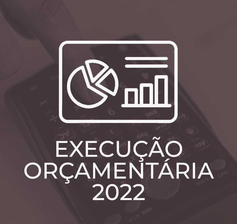 icones-site-exec-orçament-sépia-22.jpg